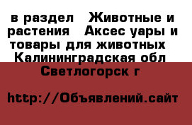  в раздел : Животные и растения » Аксесcуары и товары для животных . Калининградская обл.,Светлогорск г.